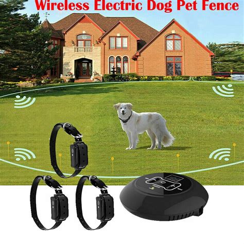 wireless dog fence systems